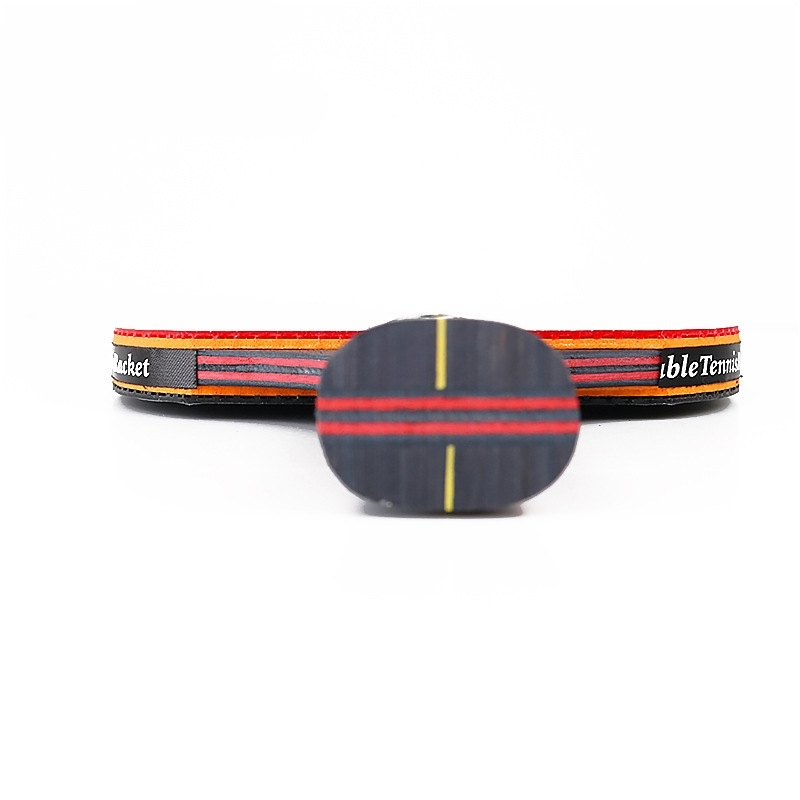 2PCS Professional 6 Star Table - Table Tennis History ulasan dan harga